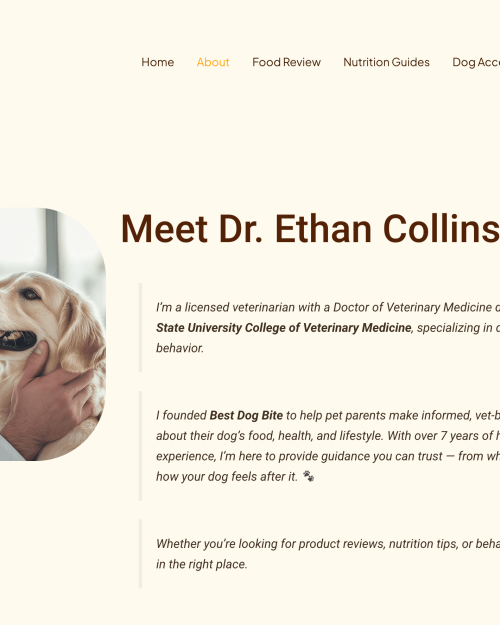 Personal Website Creation Services