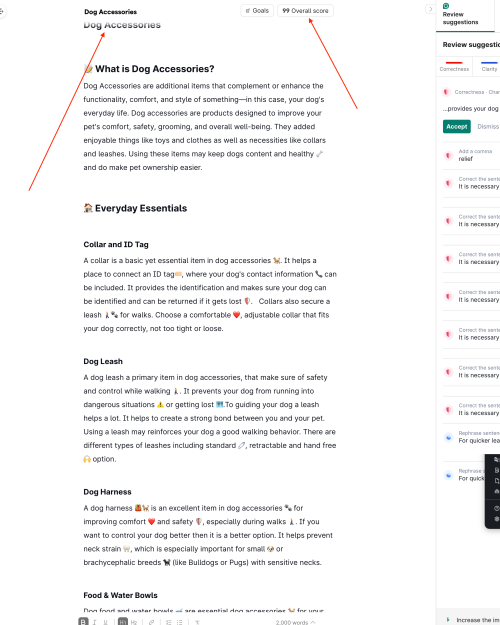 SEO-Optimized Writing Process
