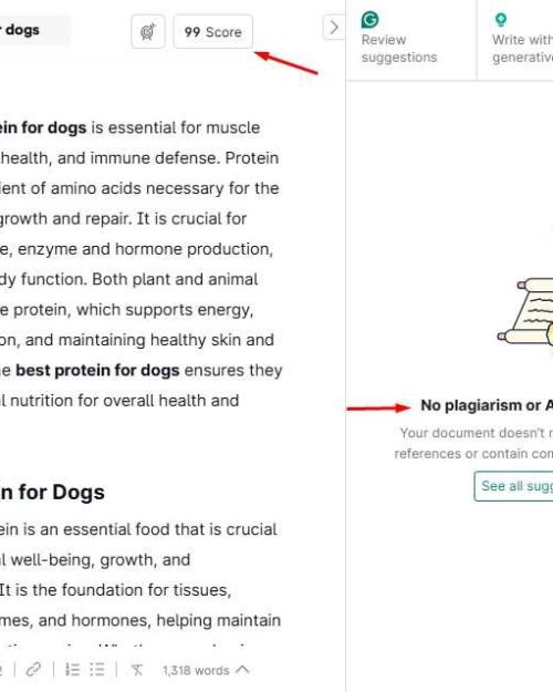 dogbite.co